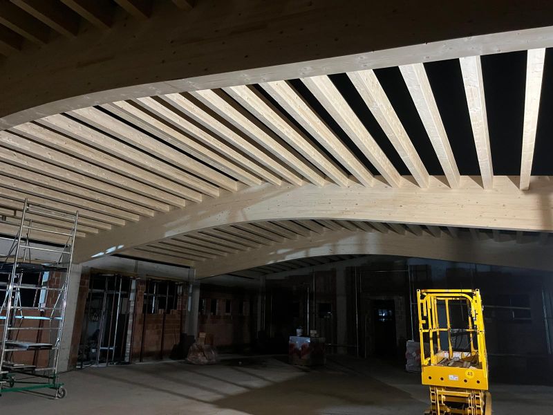 Struttura in legno lamellare a grandi luci